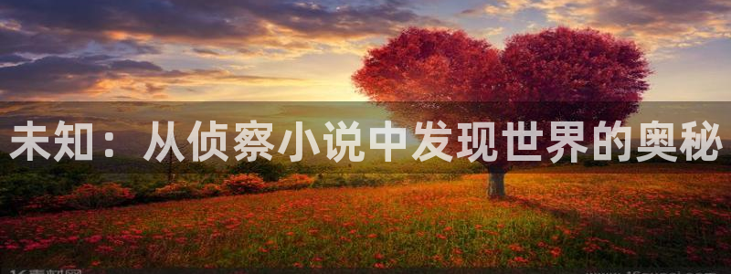 一点文学txt下载：未知：从侦察小说中发现世界的奥秘