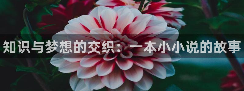 一点文学网站：知识与梦想的交织：一本小小说的故事