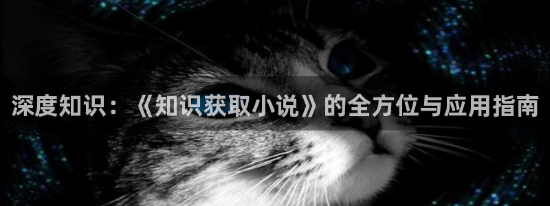 一点文学小说排行榜txt：深度知识：《知识获取小说》的全方位与应用指南