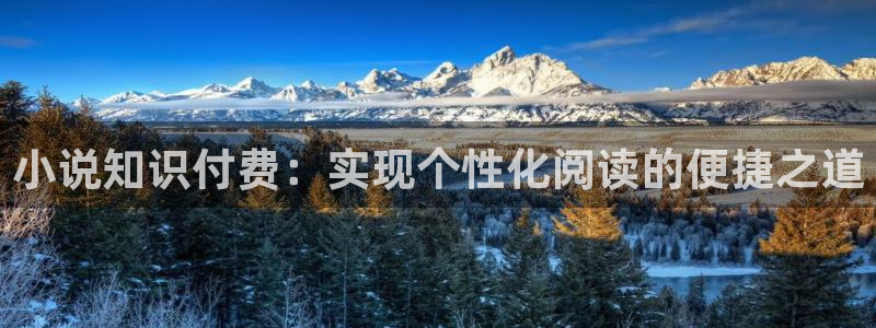 一点文学：小说知识付费：实现个性化阅读的便捷之道