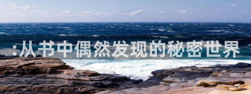 一点文学txt免费：:从书中偶然发现的秘密世界