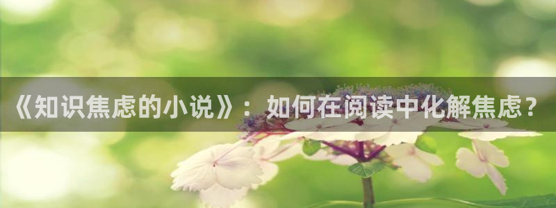 一点文学：《知识焦虑的小说》：如何在阅读中化解焦虑？