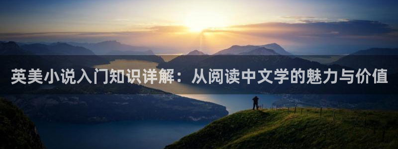 一点文学排行榜txt免费下载：英美小说入门知识详解：从阅读中文学的魅力与价值