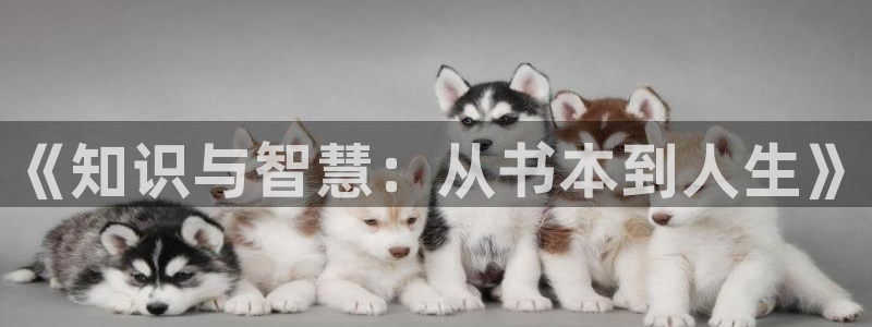 一点文学小说排行榜txt：《知识与智慧：从书本到人生》
